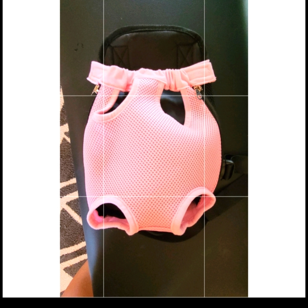 Dog backpack 🎒  Used /Size Small used 1 time good condition 👏